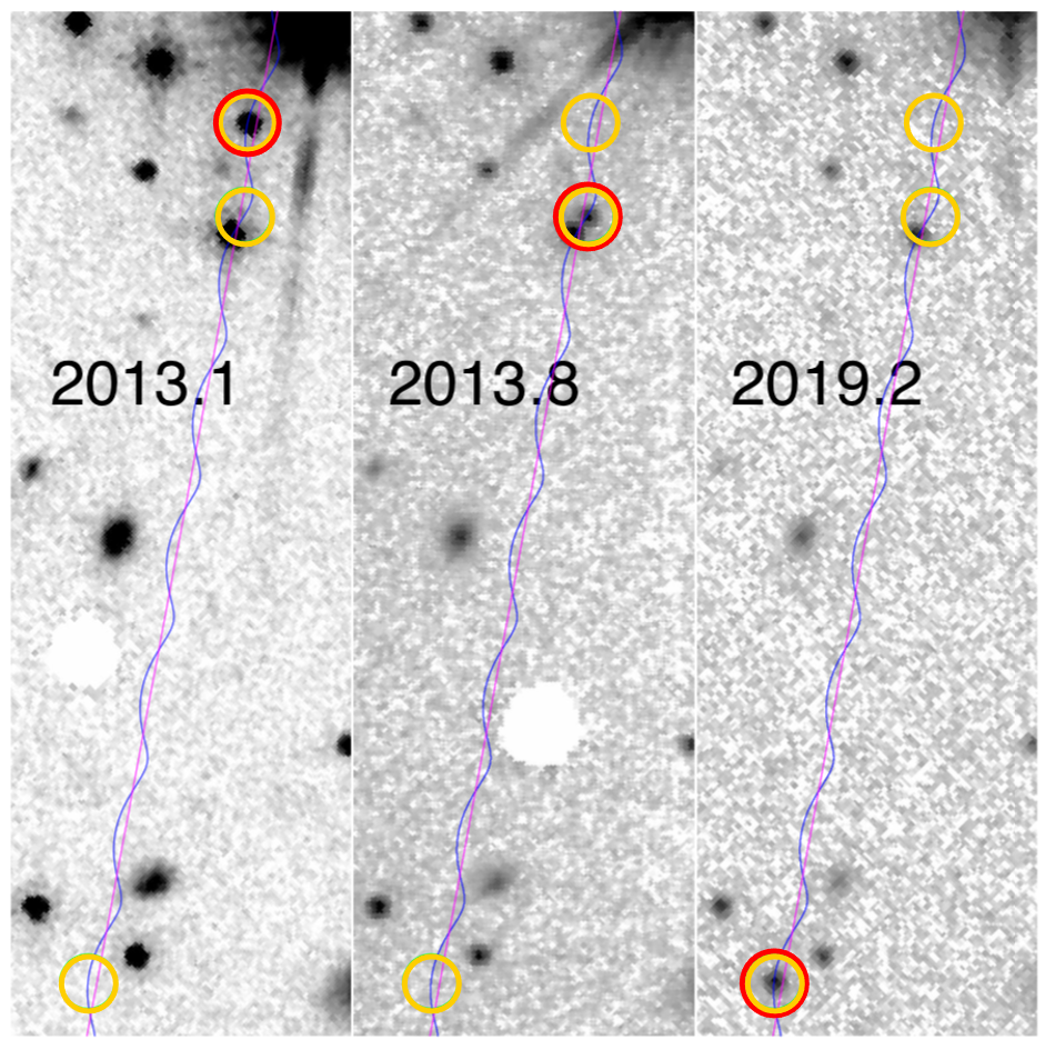 Fontanive Bedin astrometry brown dwarfs HST